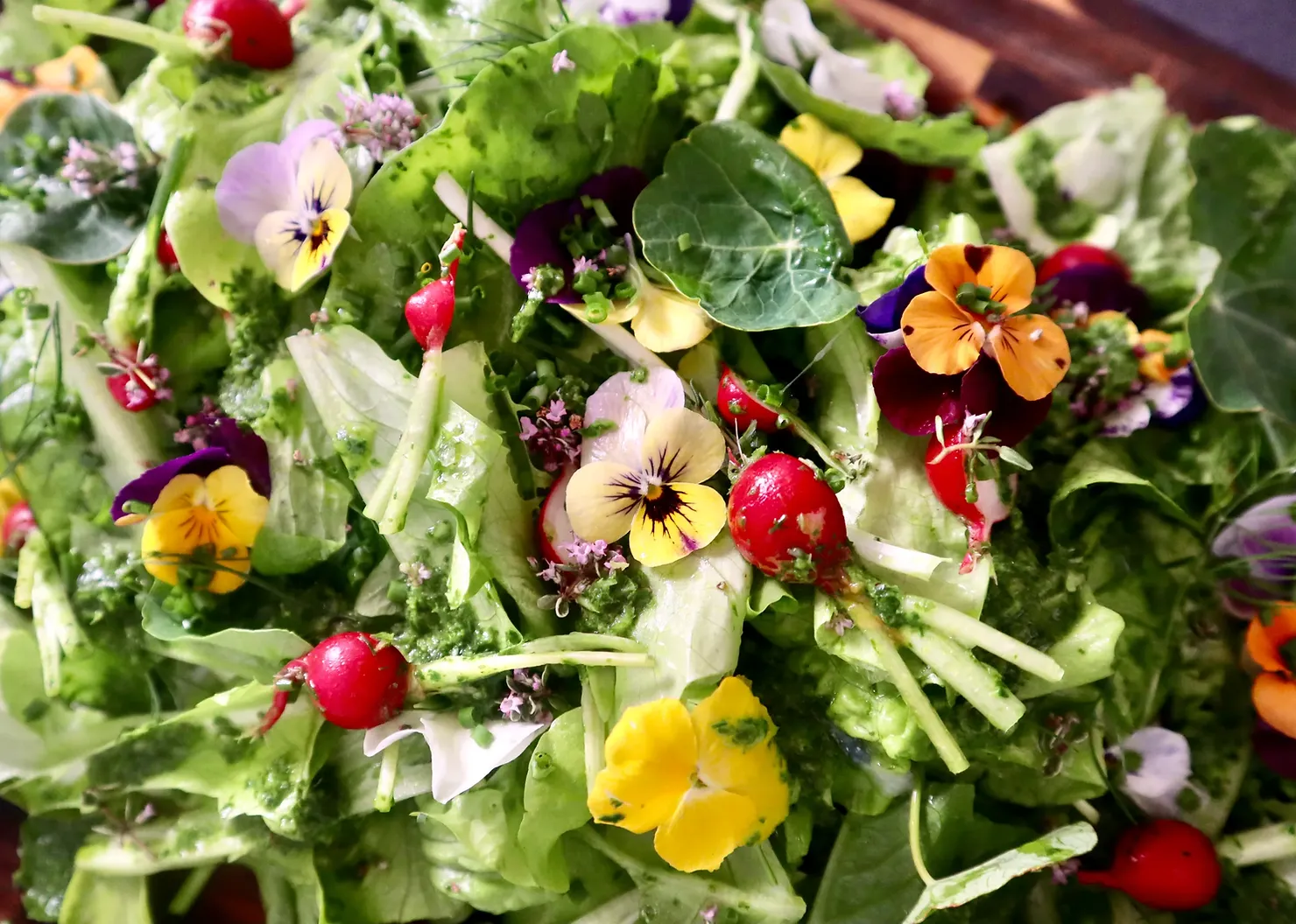 Allotment summer salad, photographed for Pinch of Mint