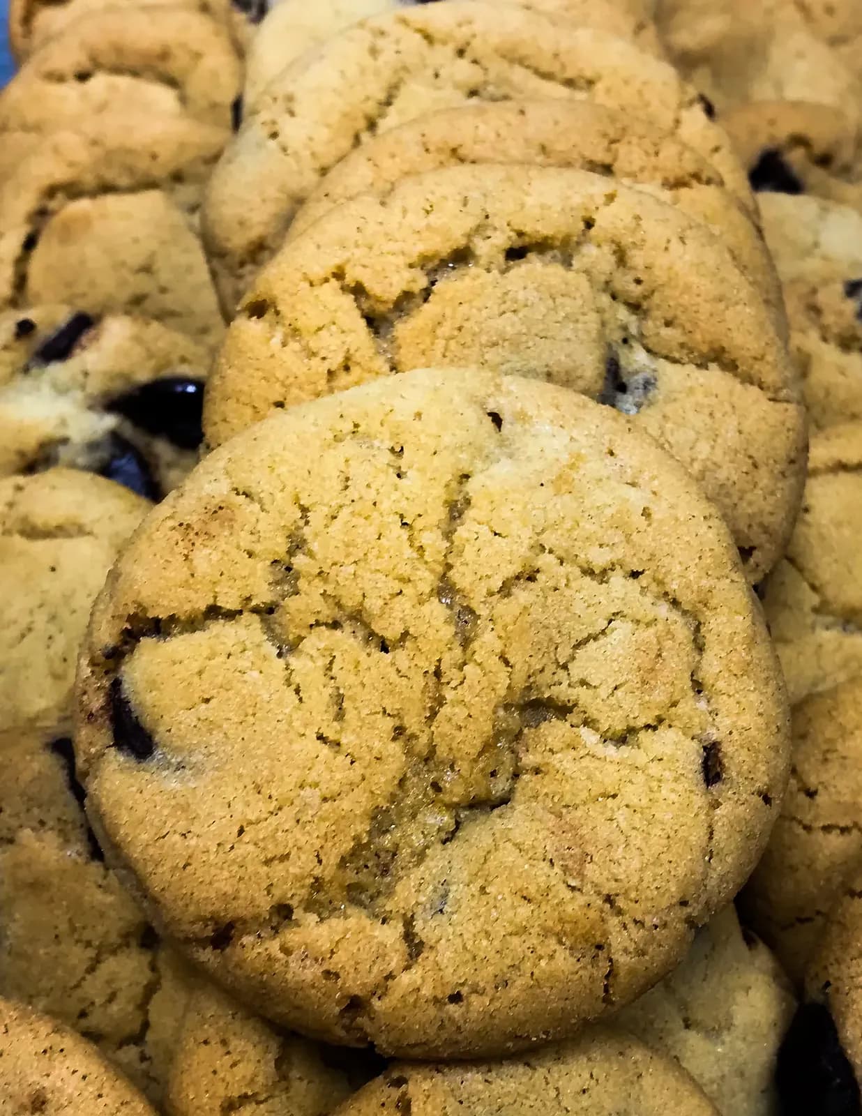 Chewy chocolate chip cookies, photographed for Pinch of Mint
